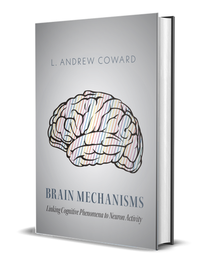 Brain  Mechanisms linking cognitive phenomena to neuron activity