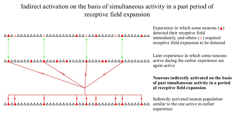 Episodic memory: indirect activation of neurons based on activity during the same past period of receptive field expansion