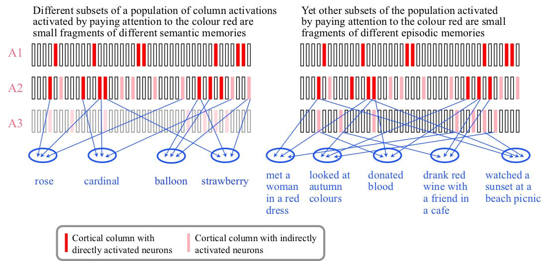 Neuron activity during subjective experience of red
