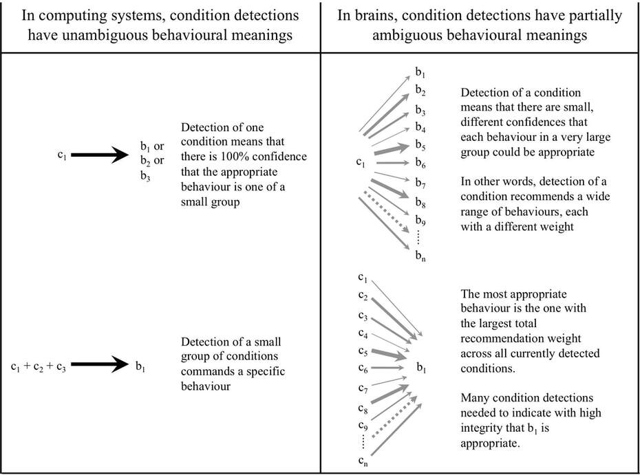 Behavioural meanings of condition detections in computers and brains